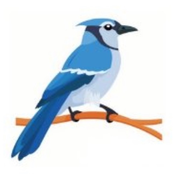 bluejayskicks